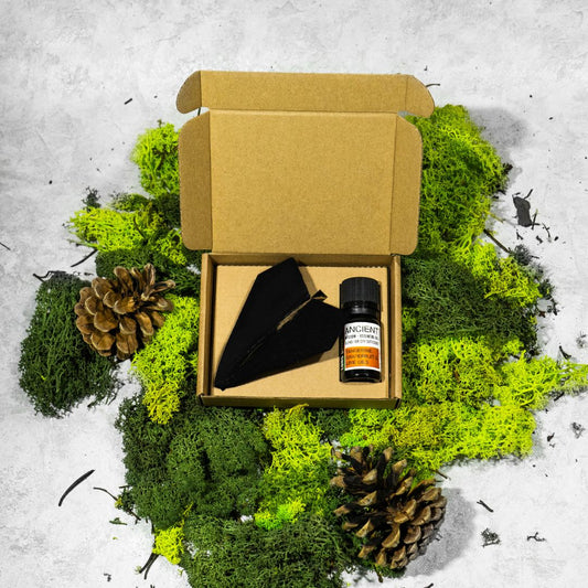 Auto difuzorius Lėktuvėlis + aromatinis aliejus